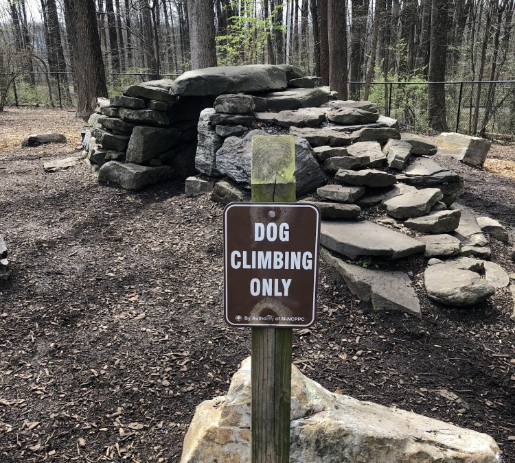 dog-park-at-cabin-john-regional-park-photo